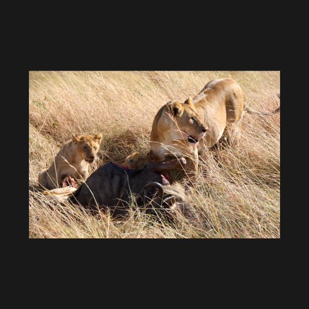 Lioness and Cubs at a Wilderbeest Kill, Maasai Mara, Kenya by Carole-Anne