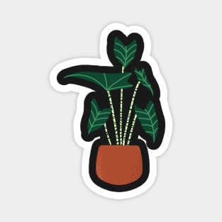 Alocasia zebrina plant Magnet