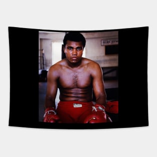 Muhammad Ali A great man, A great American My hero Tapestry