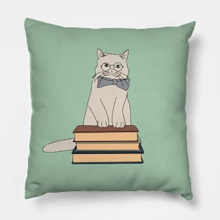 cute cat with spectacles and books digital illustration Pillow