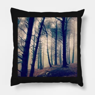 Killiney Hill Pillow