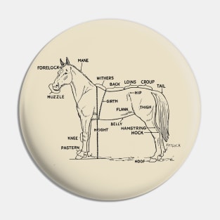 Horse anatomy Pin