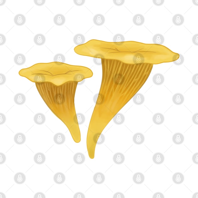 Chanterelle Mushroom by Snoozy