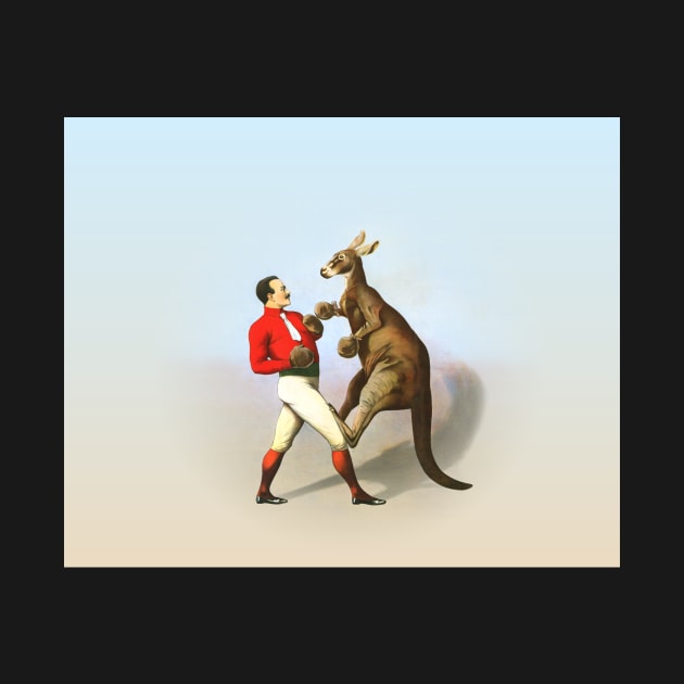 Circus Series Boxing Kangaroo by allovervintage