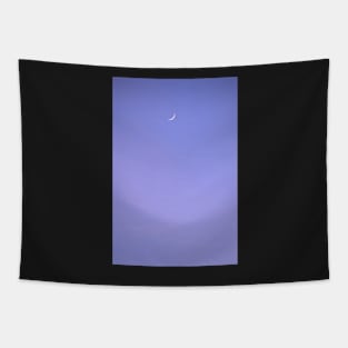 Toenail Moon Tapestry