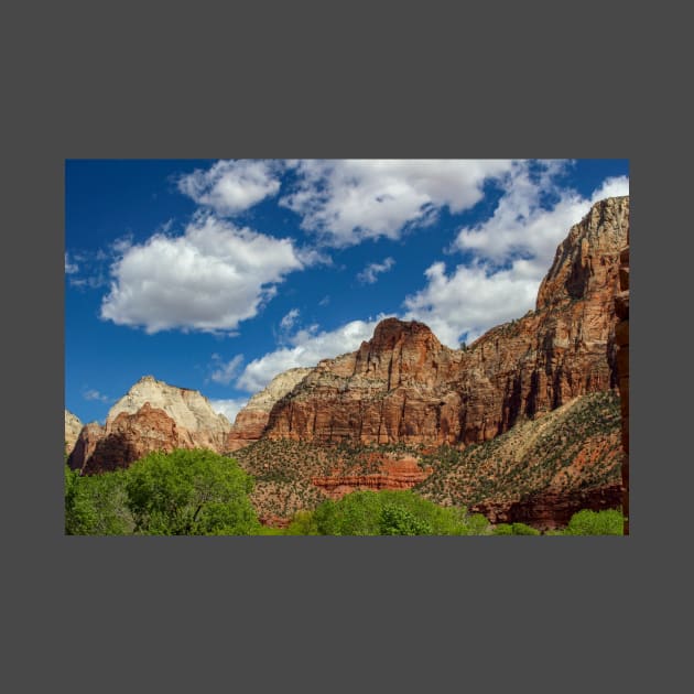 Zion National Park by Rob Johnson Photography