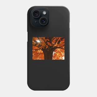 ​Autumn Orange Acer Maple Tree Phone Case