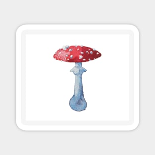 mushroom Magnet