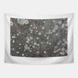 Lichen Pattern Tapestry