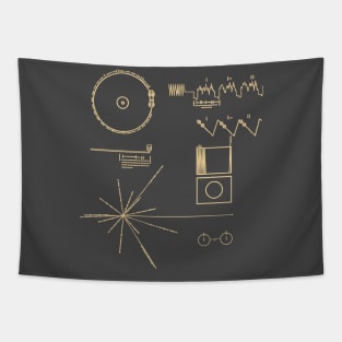 NASA Voyager Golden Record Graphics Tapestry