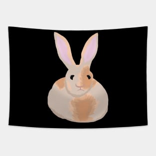 Goofy looking bunny Tapestry