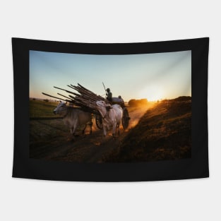 Burmese Farmers Riding on Old-Fashioned Cattle Tapestry