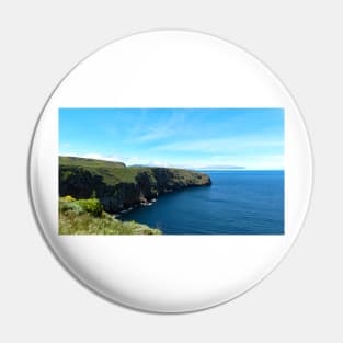 Channel Islands National Park Santa Cruz Island Pin