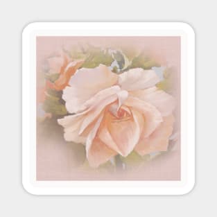 Vicorian Roses Neck Gator Peach Rose Magnet