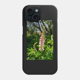 Pink Lupin Flower. Phone Case