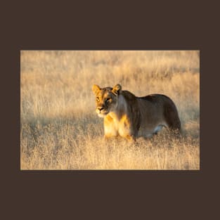 Lion in the grass. T-Shirt