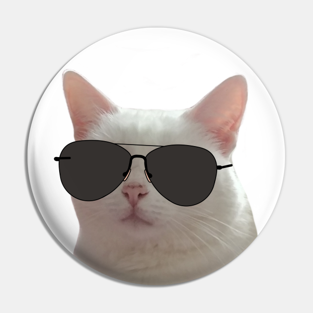 Sunglasses Cat Meme Png ubicaciondepersonas.cdmx.gob.mx