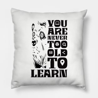 Online learning Pillow