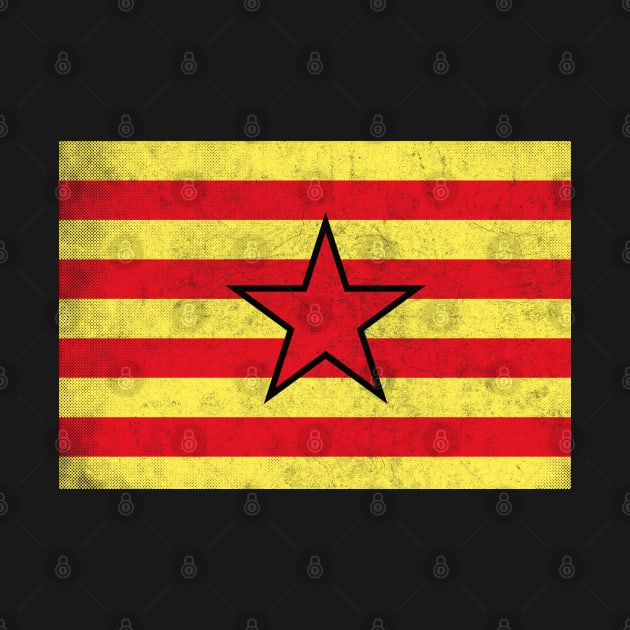 Aragon Spain - Vintage Faded Look Design by DankFutura