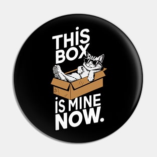 Cat in box Pin