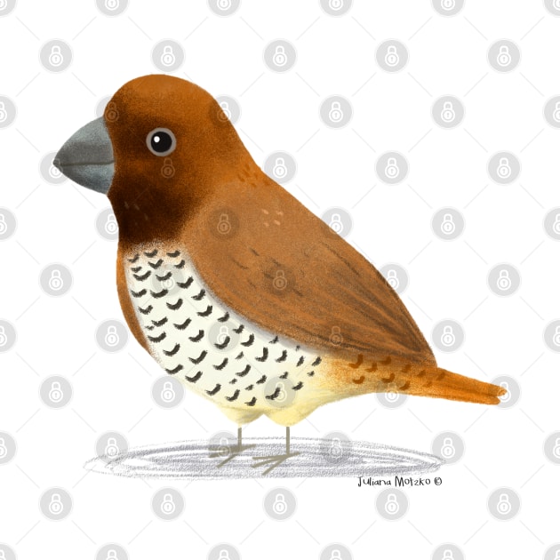 Spice Finch Bird by julianamotzko