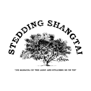 Stedding Shangtai Light Distressed. T-Shirt