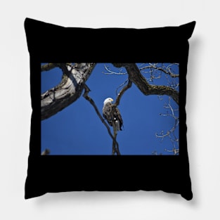 Wild Eagle Pillow