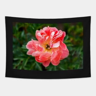 Coral peony flower Tapestry