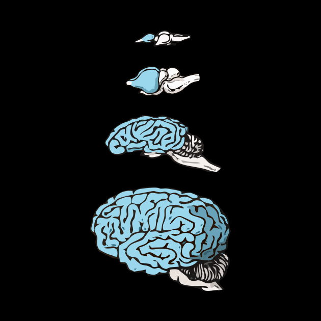 Neocortex Evolution by RosArt100