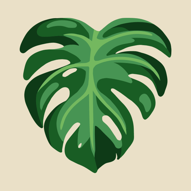 Monstera by juurkaa