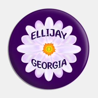 Ellijay Georgia Pin