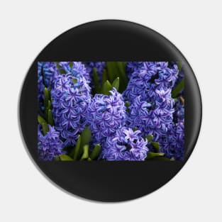 Hyacinth II Pin