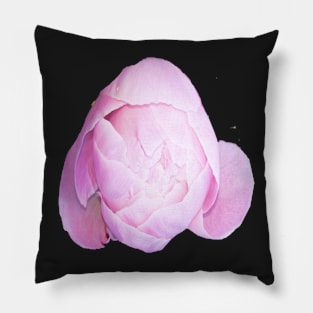 Peony bud Pillow