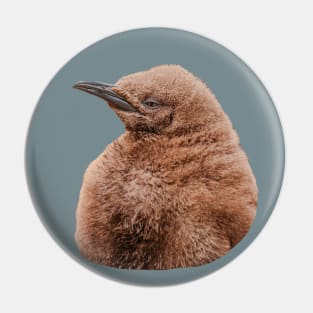 Cute baby King Penguin Pin