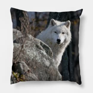 Arctic Wolf Pillow