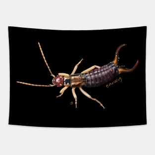 Earwig - Everyone's Favorite Insect! Tapestry