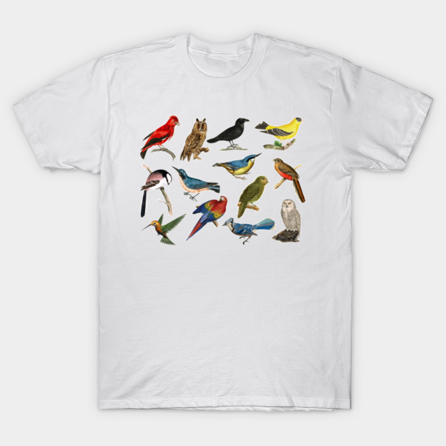 Vintage Colorful Birds 05 - Birds - T-Shirt | TeePublic