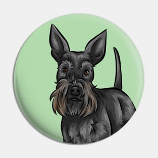 Cute Black Standard Schnauzer Dog Pin