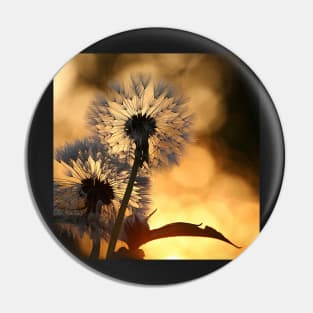 Beautiful Dandelion Flower Pin