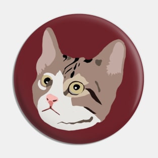 Cat Pin