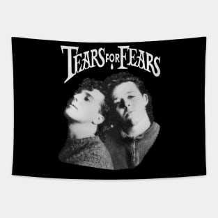 tears for fears Tapestry