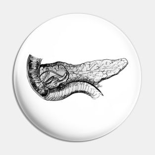 Pancreas and Duodenum Pen and Ink Sketch Pin