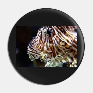 LION FISH Pin