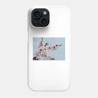 Almond Blossom Phone Case