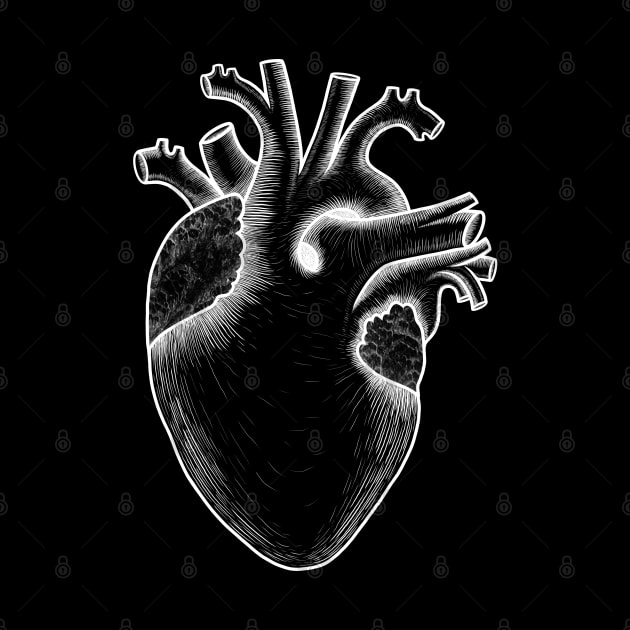 Human heart anatomy, I love my heart by Artardishop