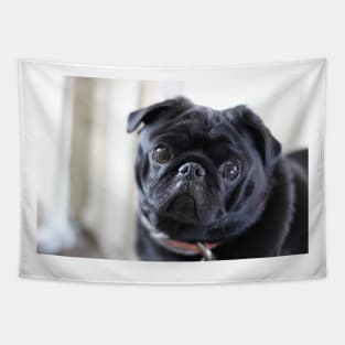 Black Pug Dog Tapestry