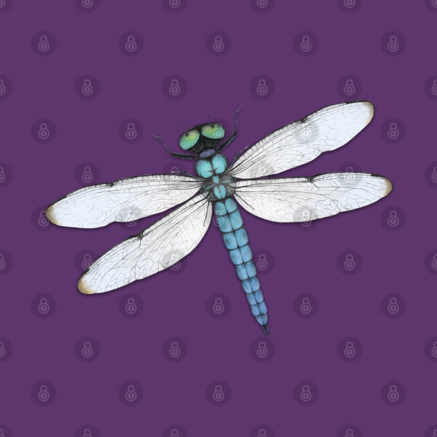 Blue dragonfly by Bwiselizzy