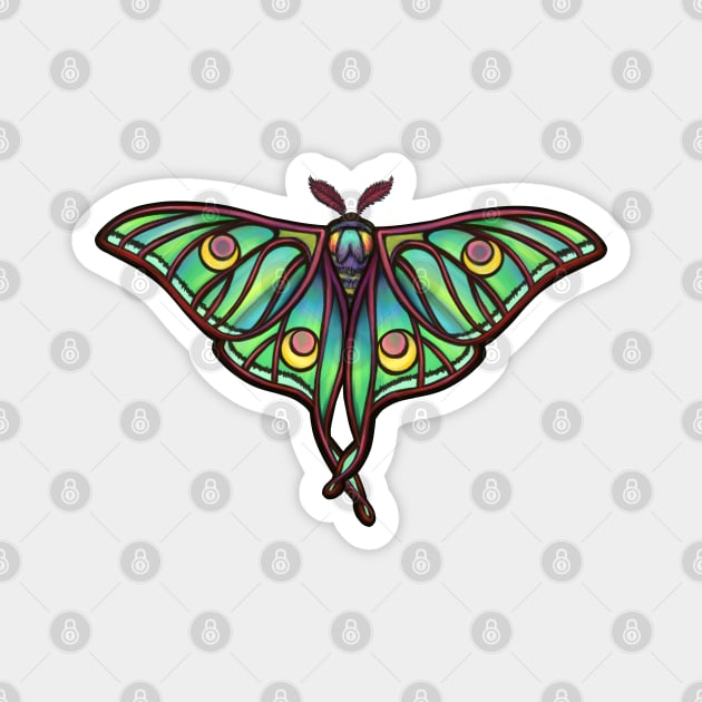 Spanish Luna Moth Magnet by Ellador