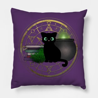 Black Cat Pillow