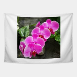 Fuchsia Pink Tropical Orchid Flowers near Waterfall Tapestry